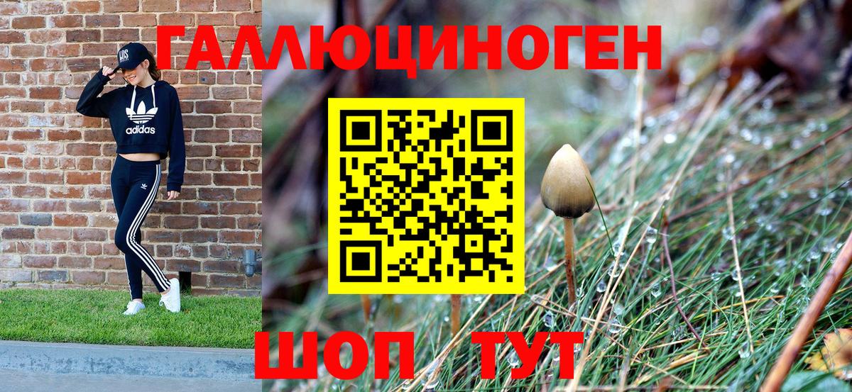 Псилоцибиновые грибы ЛСД  Вход с VPN  Пугачёв 